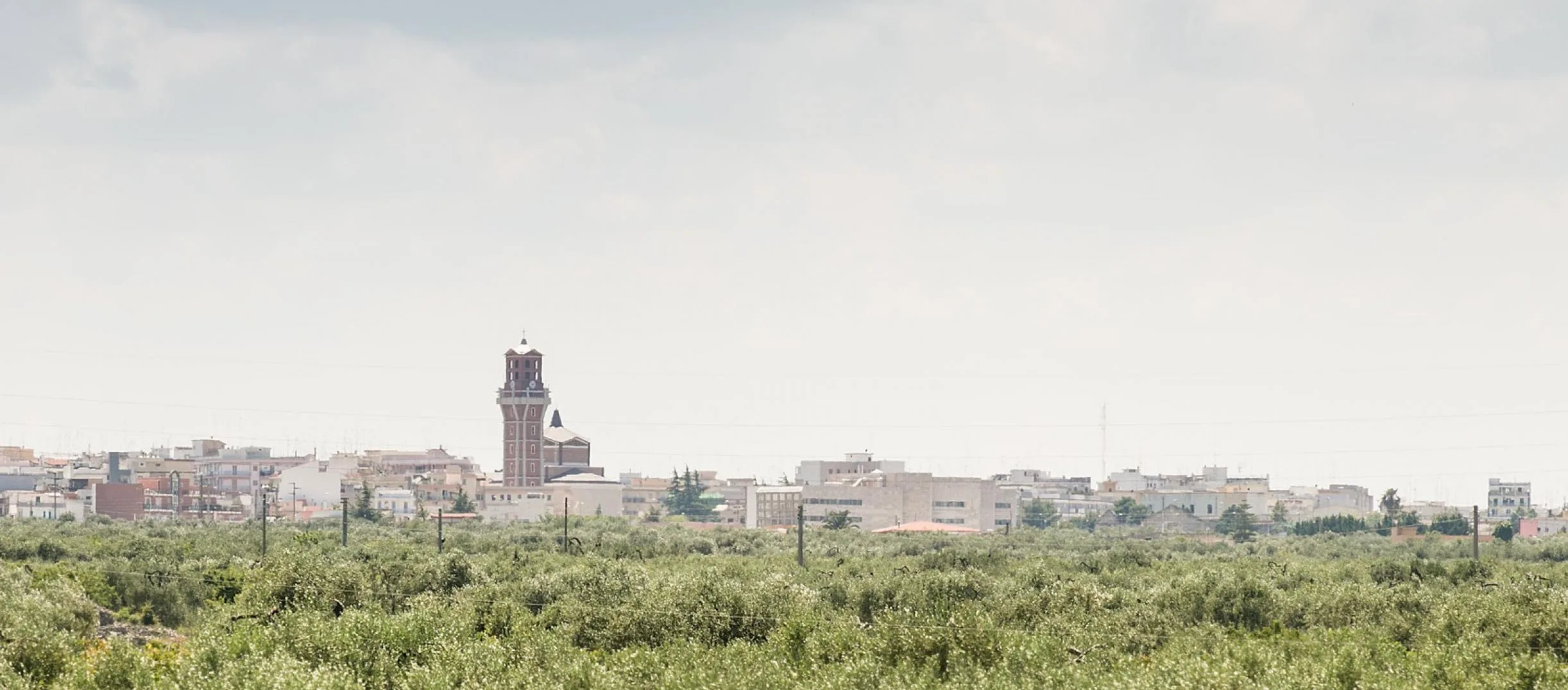 Tenuta Gurgo a Bitonto